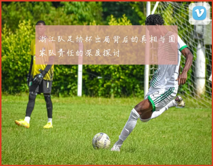 浙江队足协杯出局背后的真相与国家队责任的深度探讨